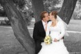 /album/fotogalerie-svatebni-foto/alca-a-michal-img-2293u2-1-jpg/